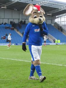 Chester shows off his Santa hat!