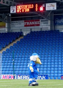 Haydon the Womble stands on the Proact Stadium pitch before the game