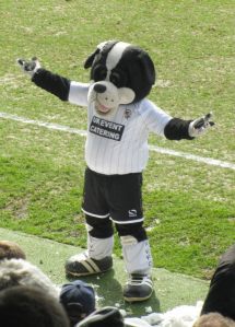 The Port Vale mascot waves at the home supporters