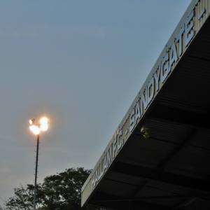 A lovely summer evening