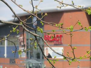 A big day in Chesterfield's season