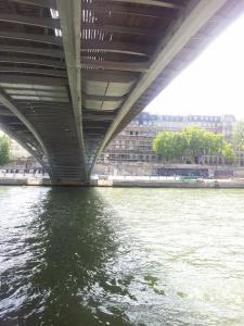 Going under one of the 37 bridges in Paris