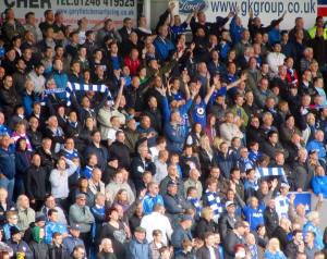 Joyous Spireites