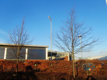 A bright December day